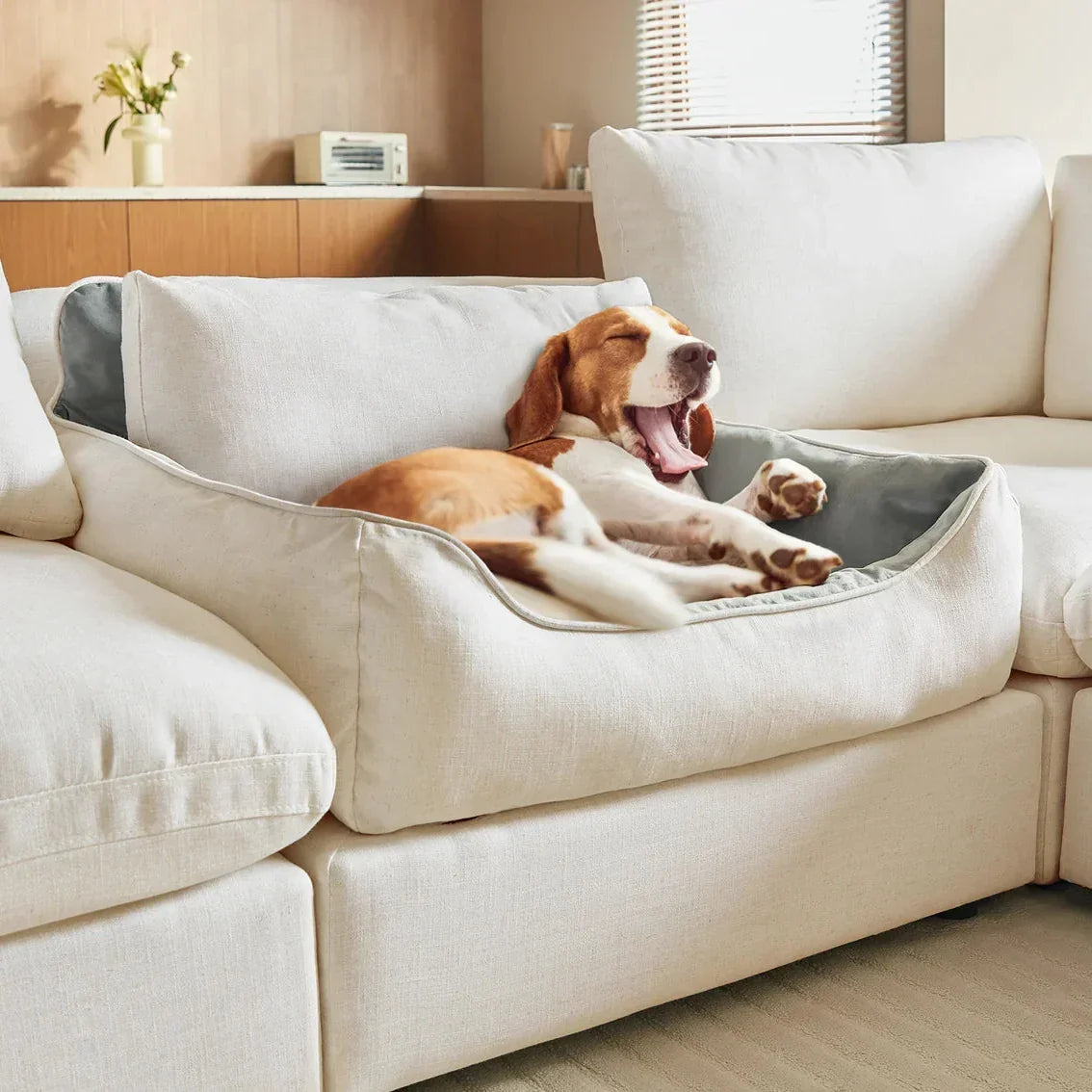 Pet-Friendly Couch Fabric: What to Look For and Avoid