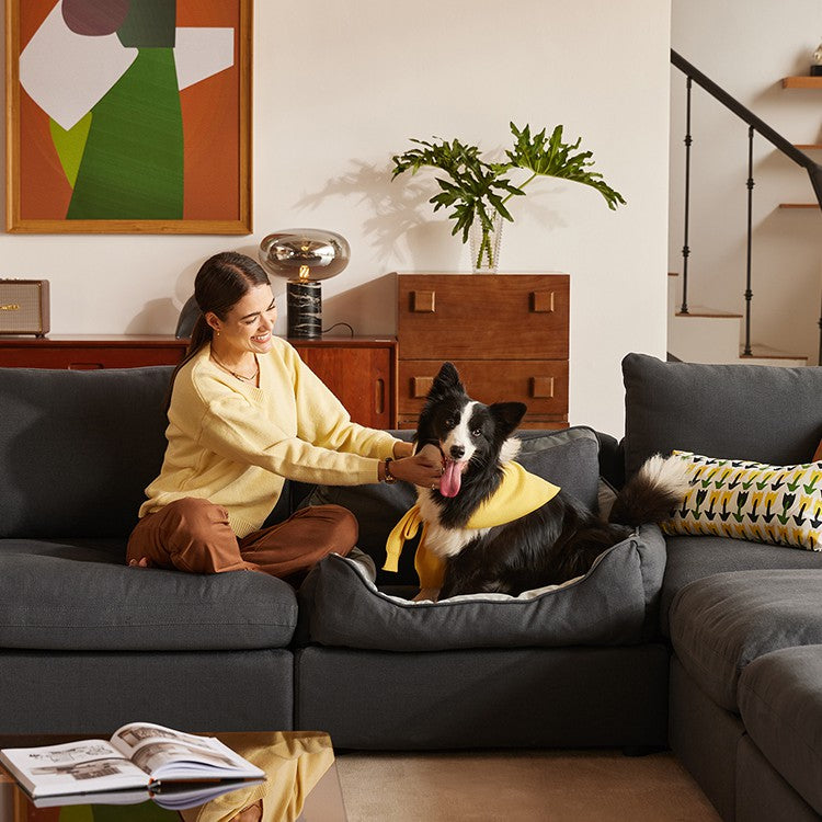 Pet Bed Module