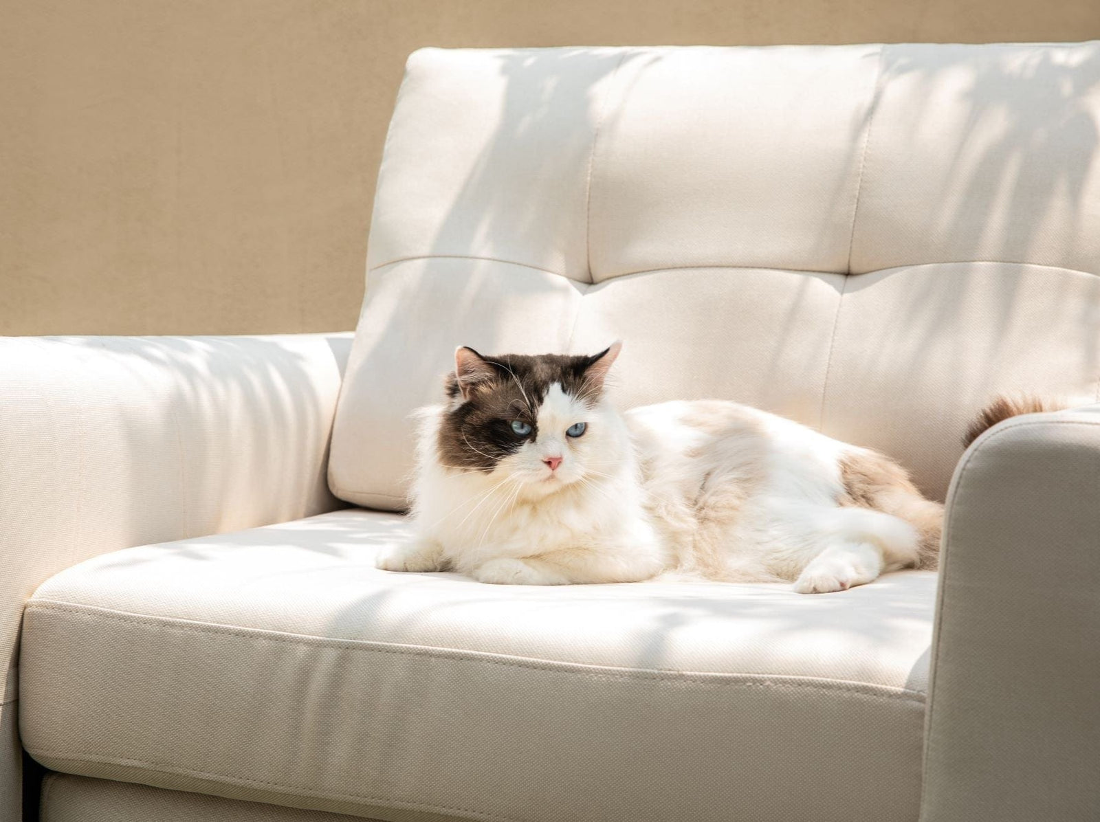 LINSY HOME Modular Armchair with Storage Accent Chair