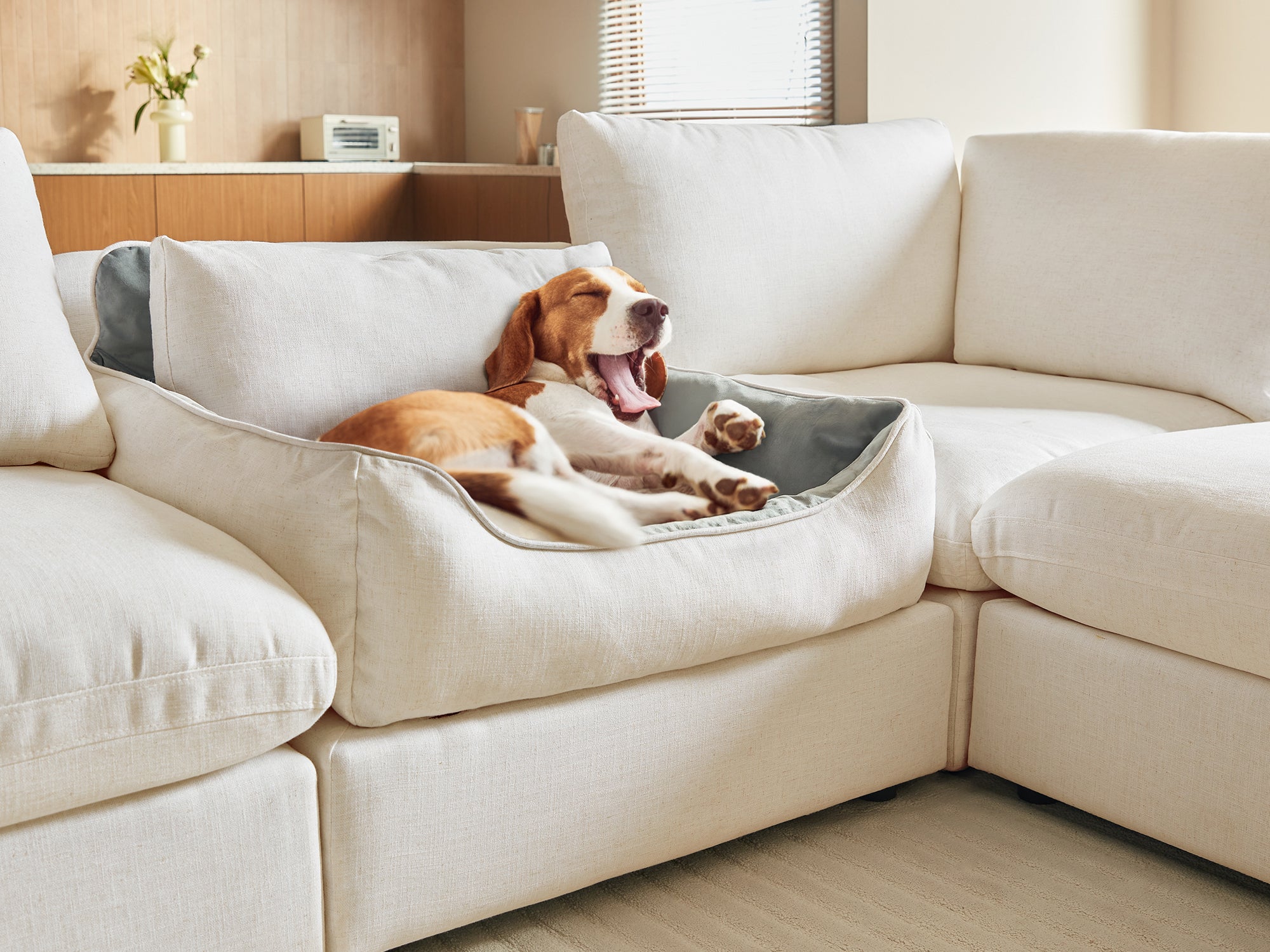 RUBIK V Pet Bed Module - LINSY HOME